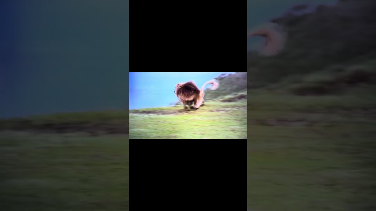 Generik "desperate to get rich"  