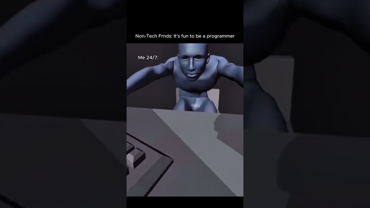 But I am a programmer |