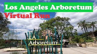 39 Minutes Virtual Run at the Los Angeles Arboretum and Botanic Garden in Arcadia, California