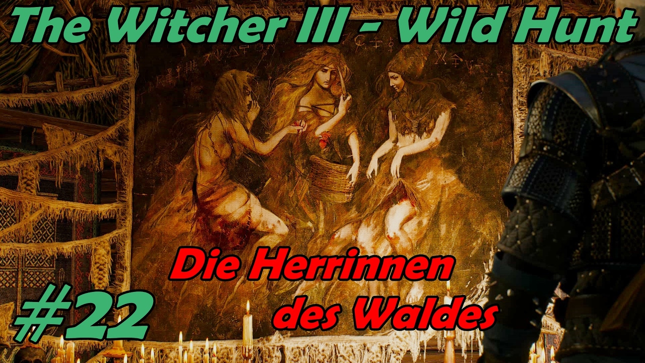 The Witcher 3 Herrinnen Des Waldes Buch Finden