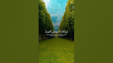 قران كريم #اكسبلور #المصحف #ياسر_الدوسري #راحة_نفسية