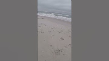 Thumbnail of Reading the Beach 101