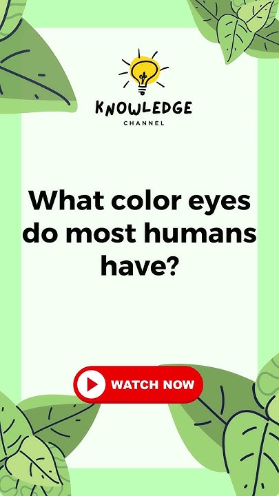 what-color-eyes-do-most-humans-have-knowledgechannel-facts