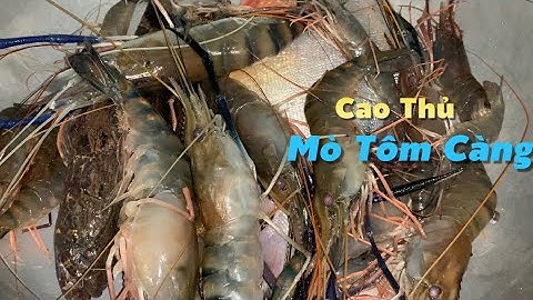 Buổi sáng lạnh tê người ra sông hậu mò tôm càng xanh về nấu lẩu chanh dây  | Cù Lao Dung Vlogs #614