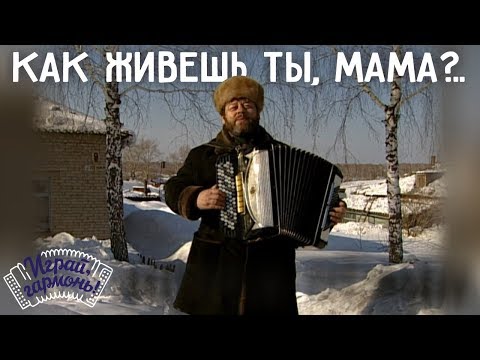 Играй, гармонь! | Геннадий Заволокин | Как живёшь ты, мама?..