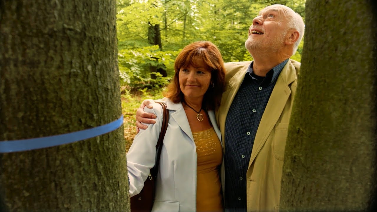 Im FriedWald einen Baum auswählen