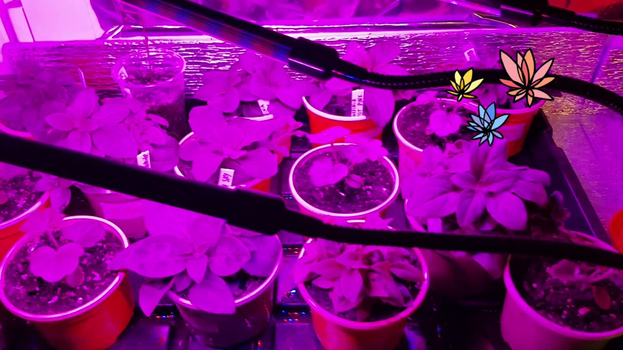 Led лампы - YouTube