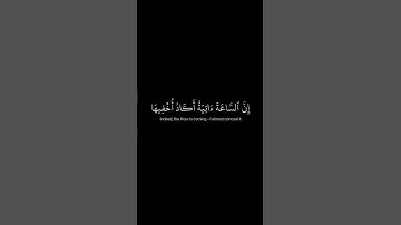 كروما قرآن شاشه سوداء | من سورة طه - القارئ شريف مصطفى #كرومات_قرآن #quran