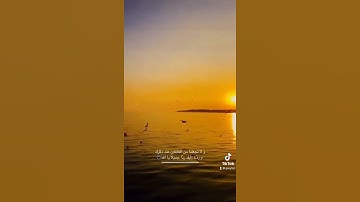 عبدالرحمن مسعد - سورة الروم