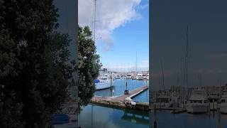 New Zealand 🇳🇿 Auckland travel guide | Gulf Harbour #newzealand #shorts #youtubeshorts