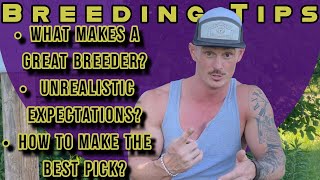 Q&A-Breeding Tips. How to make the best pick? What makes a great breeder? Unrealistic expectations?