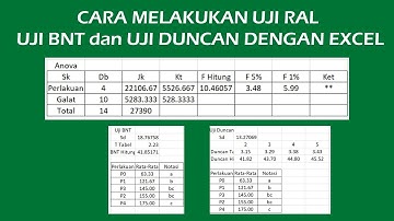 Cara Uji Rancangan Acak Lengkap (RAL), Uji BNT dan Uji Duncan
