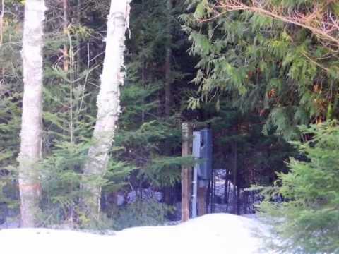 6115 E Grand Lake Rd, Presque Isle, MI home video tour