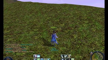 Aion bug in Verteron ;)