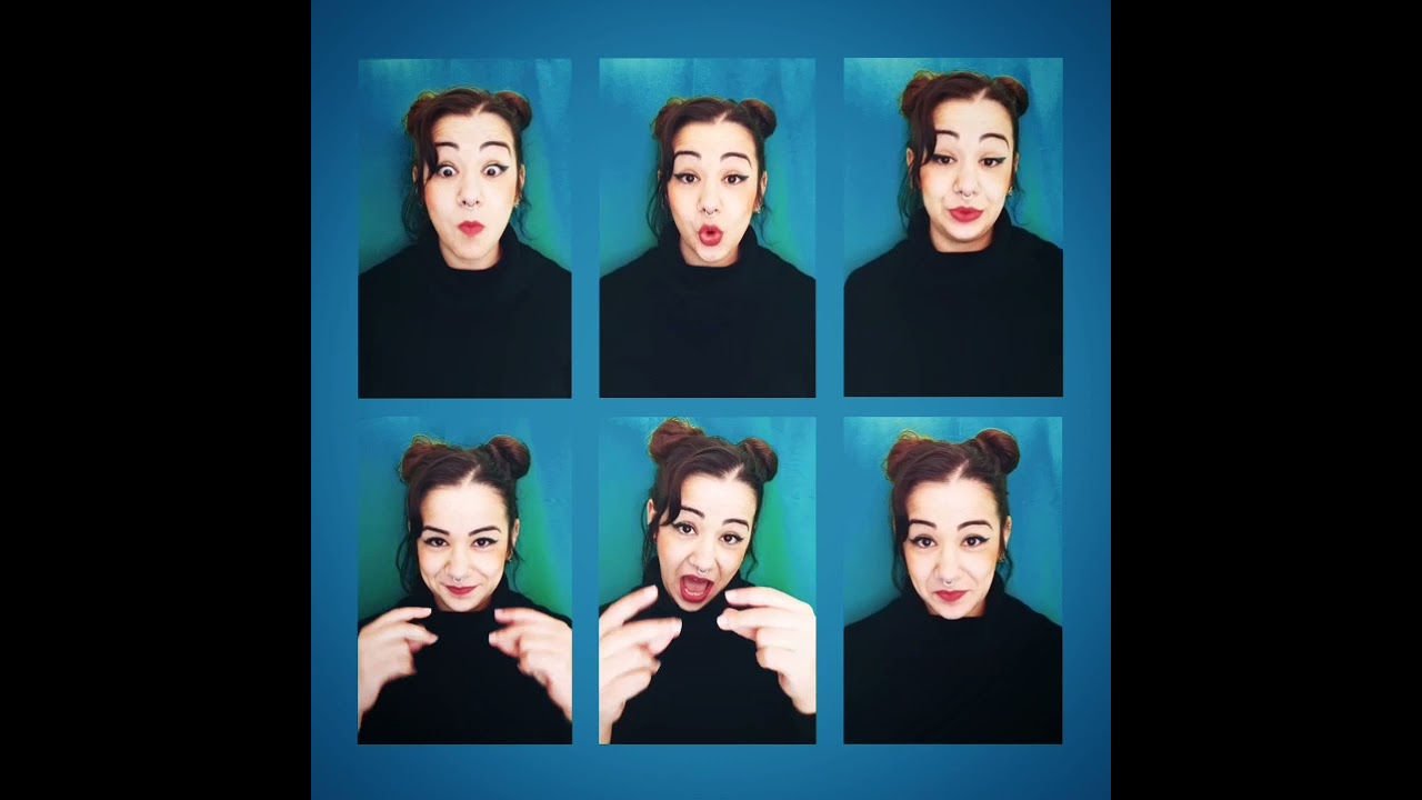 The Get Along Gang Theme (cover acapella - onegirl band)