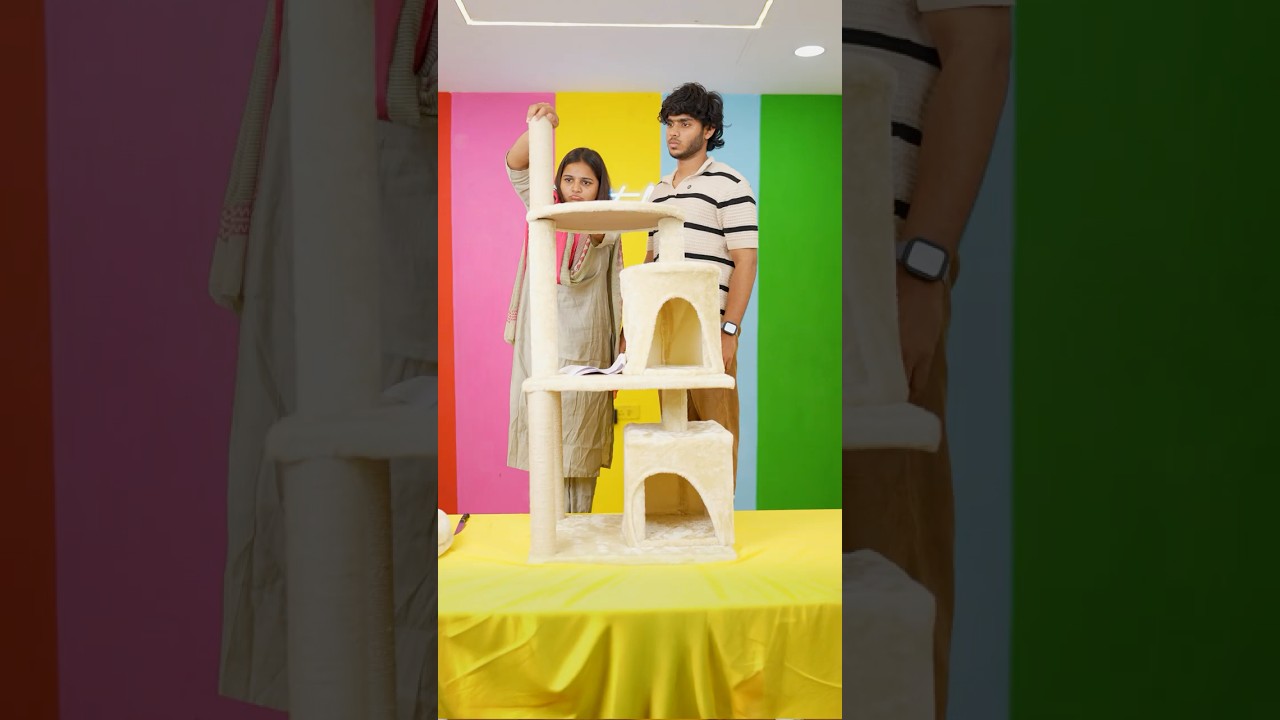 Cat ku pudhu veedu vangiaachu..😅#shorts #shortsfeed #trending #unboxing #comedy #voice #shortsvideo