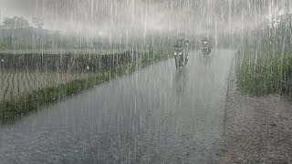 Heavy rain in the village, very cold, sleep early because of the sound of heavy rain comfortable