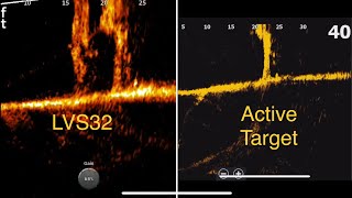 Active Target vs. Livescope true comparision on water.