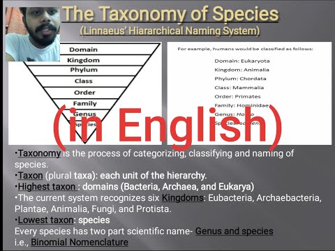 Species and Taxonomy