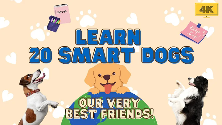 Types of Dogs for Kids - Learn 20 Dog in 3 minutes| Education Song for Preschool - Kindergarten