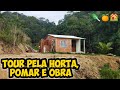 TOUR PELA HORTA, POMAR E OBRA/Bora pra Roça?