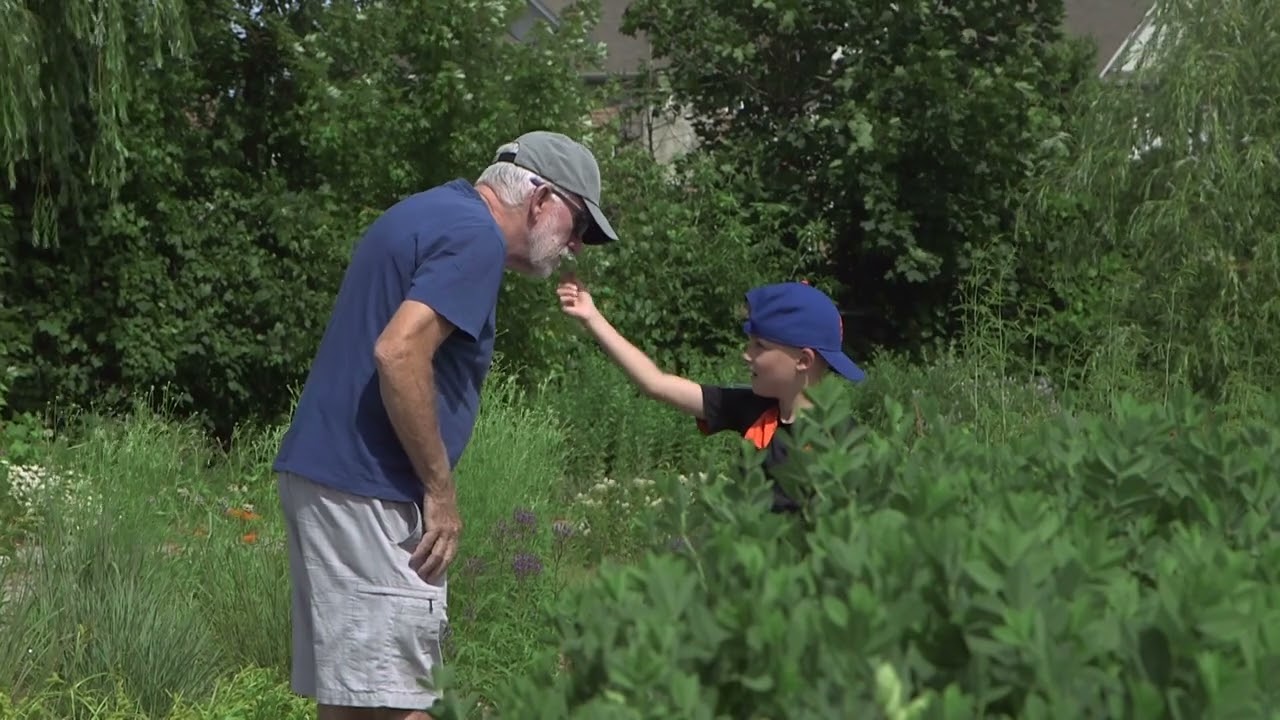 Environmentally Friendly Landscaping