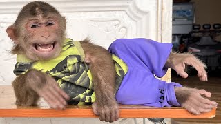 So sweet! Baby Max gets special care from dad - Love animals ❤️❤️❤️