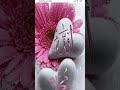 دل سه دل کو جرده تو کوتاه اسلامی زیبا نعت نور