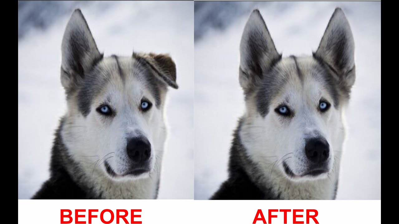 CLONE (STAMP TOOL) SOURCE MAGIC   PHOTOSHOP