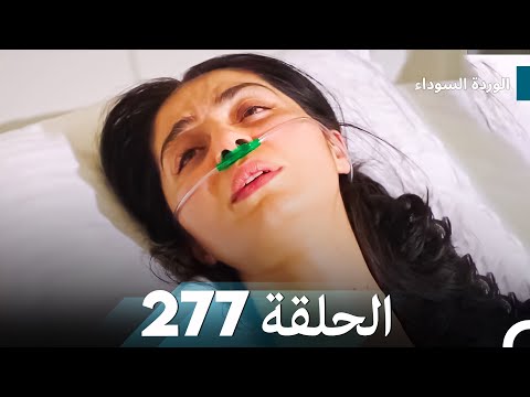 الوردة السوداء الحلقة 277