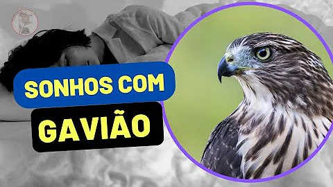 O que significa ver gaviões?