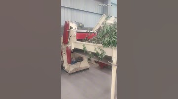 Crushing a tree with branches and leaves quickly and directly #machine #technology