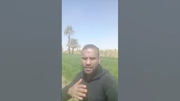 نسر الصعيد واجب علي الاصيل الصمت 