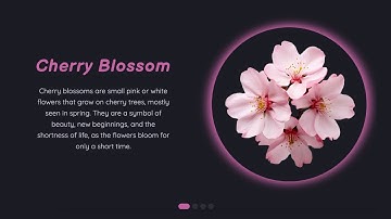 Responsive Sync Slider with Text and Image Animations | Swiper JS Tutorial | HTML CSS