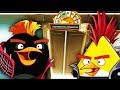 ЗЛЫЕ ПТИЦЫ ПАНКИ и БАШНЯ НЕУДАЧИ Детский игровой летсплей про ЗЛЫХ ПТИЧЕК Angry Birds 2