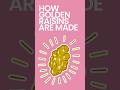 How Golden Raisins are Made #shorts