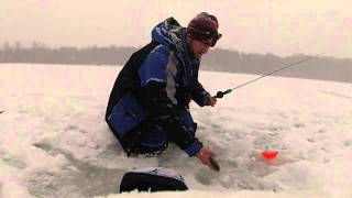 Bluegill Beatdown - Ice Fishing - Pure Michigan