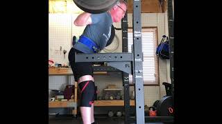 20190202 pin squat 265x3@7/275x3@8/285x3@9