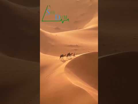 رمال ذهبية نقطة ضوء في صحراء المغرب    المغرب