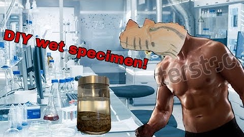 How to Prepare a Wet Specimen