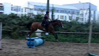 DSCF9165.AVI