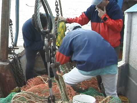Expanding the Use of the Sweepless Raised Footrope Trawl In the Whiting ...