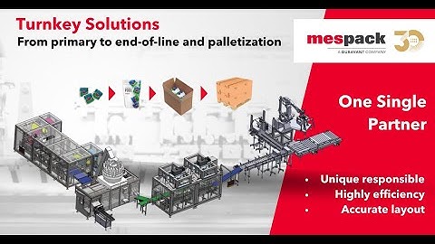 Packazing 04 - Turnkey Solutions - H320FED + MCP