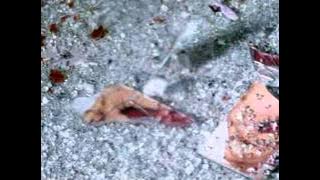 ISHQ NA KARNA ISHQ NA KARNA Full Video |  Phir Bewafai | Agam Kumar Nigam, Tulsi Kumar