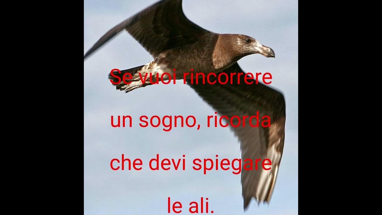 La vita è una sola... YouTube