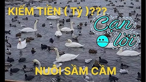 🔴🦆Live : CHIM SÂM CẦM - TRỨNG 500k/quả ( Phân tích và phản biện ) 022.88.63.1111