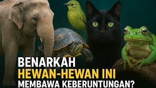 Mitos atau fakta |Benarkah hewan hewan ini membawa keberuntungan