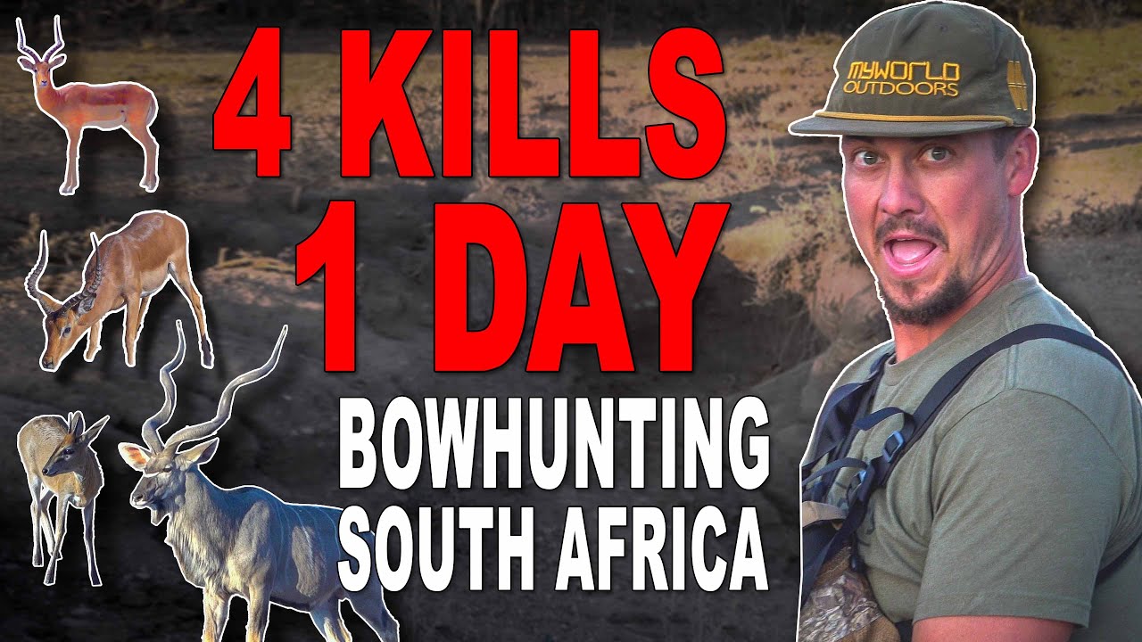 4 Bowhunting Kills in 1 Day over South Africa Waterhole YouTube