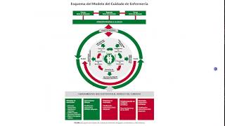 MODELO DEL CUIDADO DE ENFERMERÍA/GUÍAS DE PRÁCTICA CLÍNICA. EN LOS REGISTROS CLÍNICOS DE ENFERMERÍA.