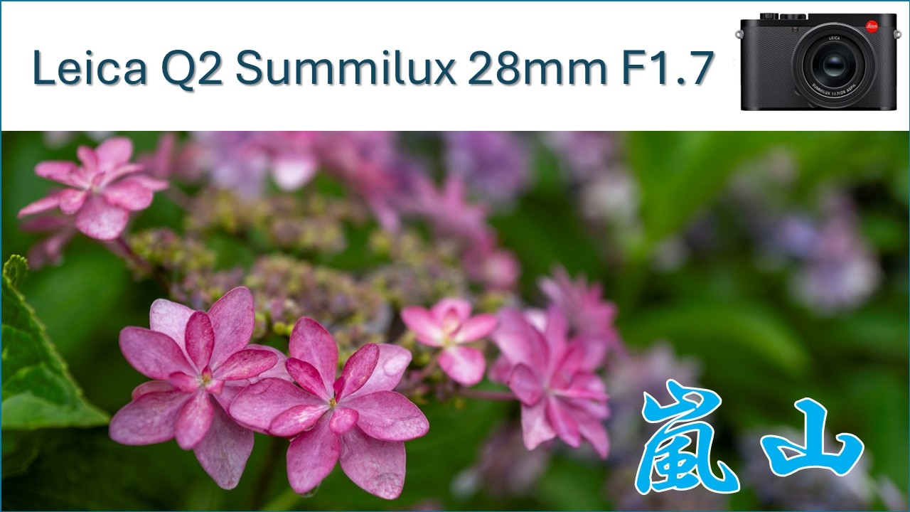 4K】Leica Q2 Summilux 28mm F1.7 Ranzan - YouTube
